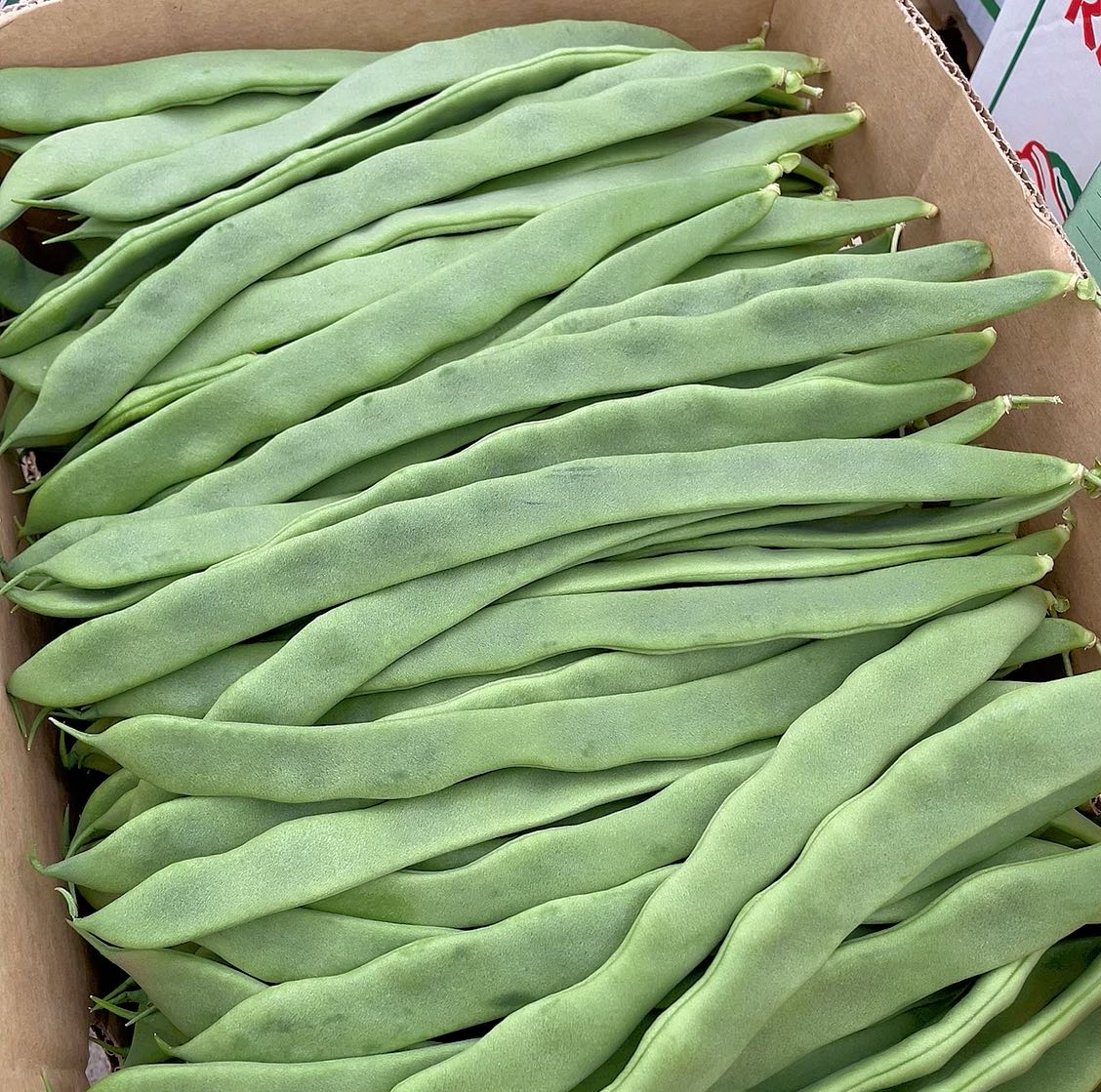 油豆角（东北大扁豆）约500g - Umall今日优选- 澳洲线上超市