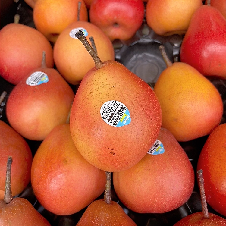 fresh-berry-pear-28pc-1