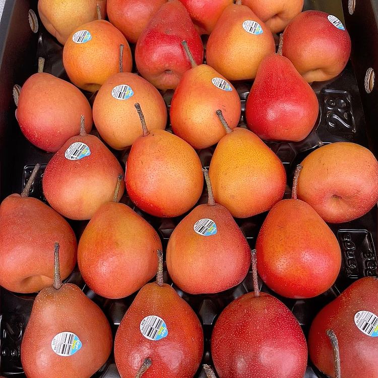 fresh-berry-pear-28pc-2