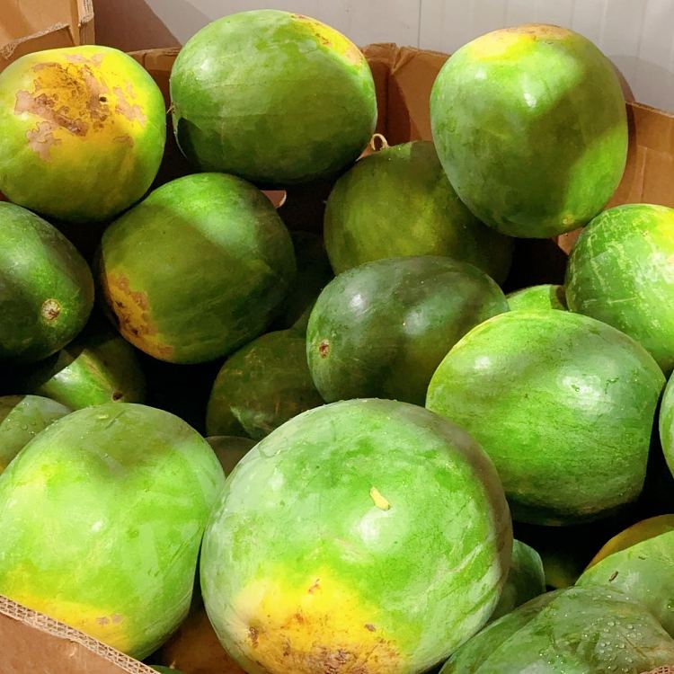 freshumall-own-watermelon-1pc-about-4-5kg-1
