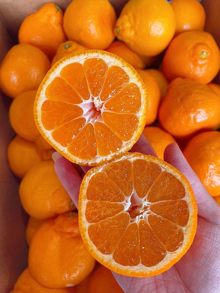 fresh-satsuma-small-orange-about-1kg-1