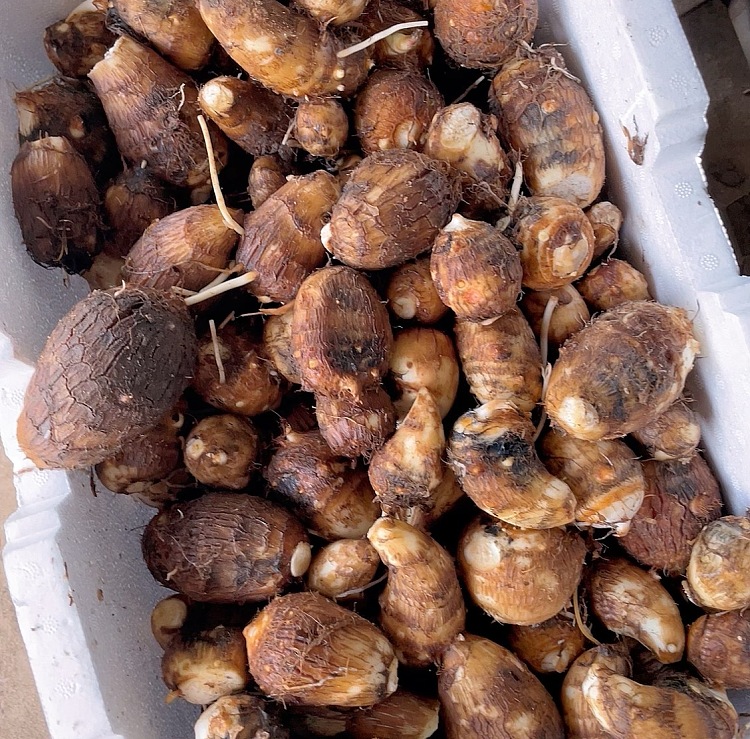 fresh-small-taro-about-1kg-3
