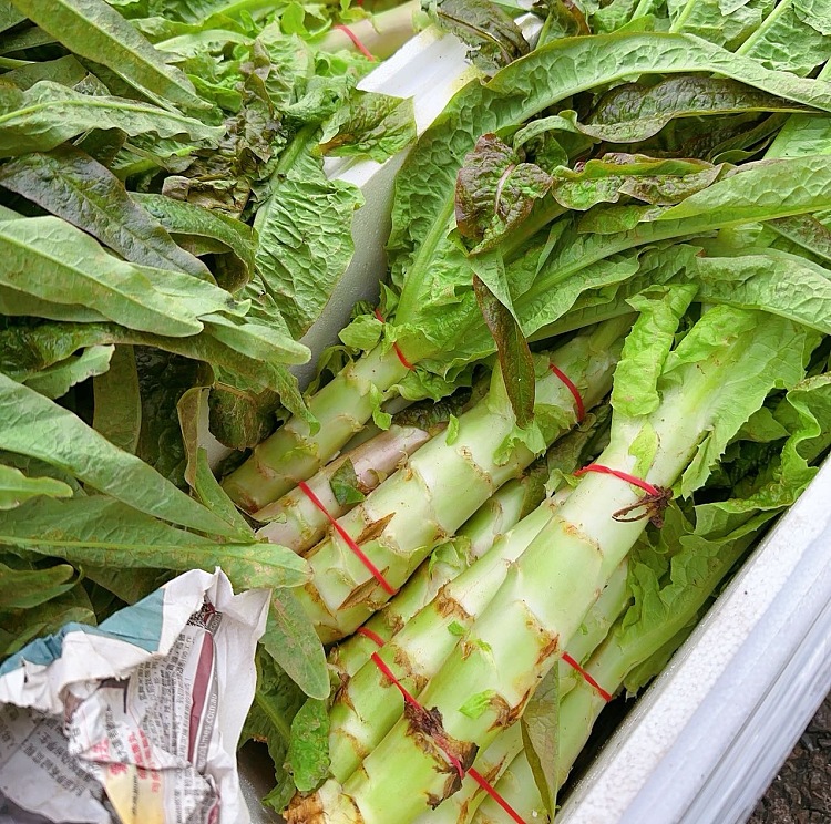 fresh-farm-lettuce-1-handful-about-2-sticks-3
