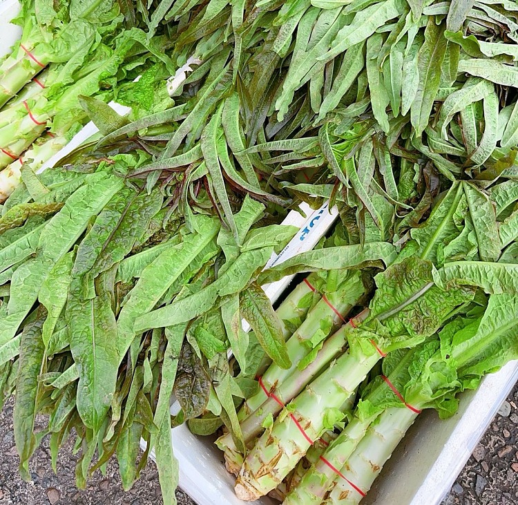 fresh-farm-lettuce-1-handful-about-2-sticks-2
