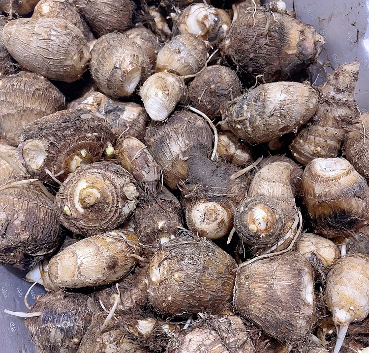 fresh-small-taro-about-1kg-2