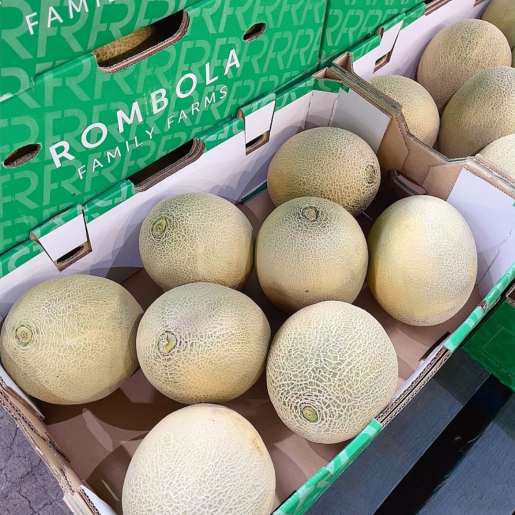 freshrockmelon-cantaloupe-small-1pc-3
