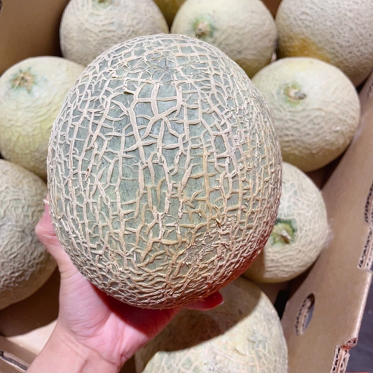 freshrockmelon-cantaloupe-small-1pc-2