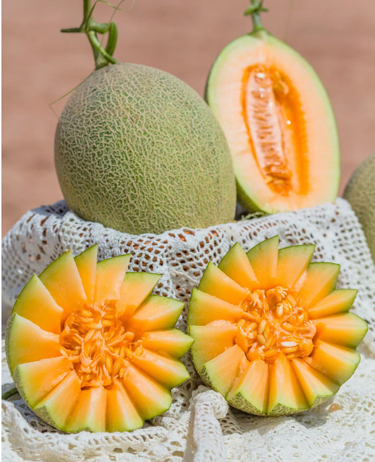freshrockmelon-cantaloupe-small-1pc-1