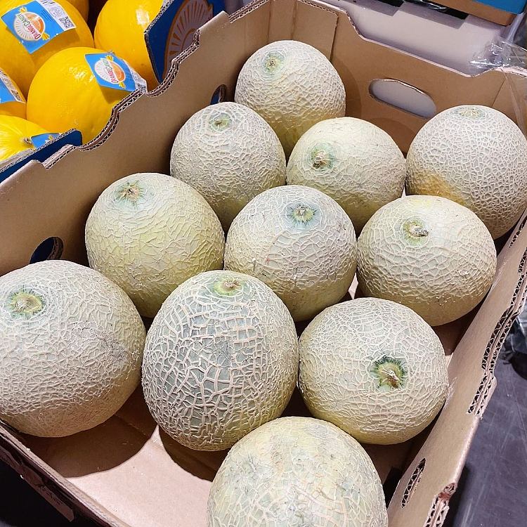 freshrockmelon-cantaloupe-1pc-4
