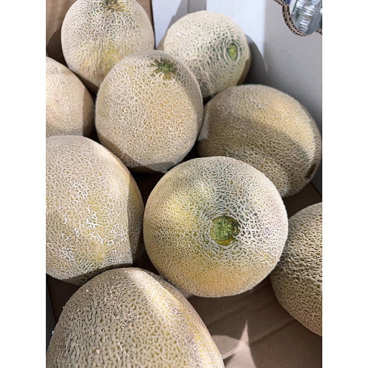 freshrockmelon-cantaloupe-1pc-3