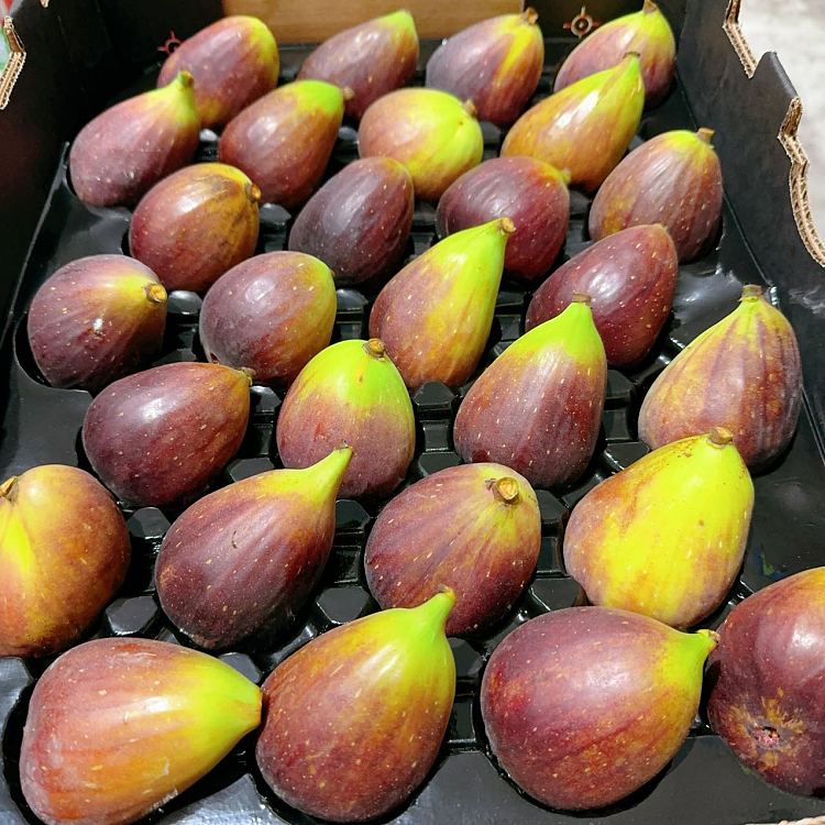 freshumall-own-local-figs-1