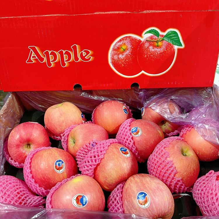 fresh-china-fuji-apple-whole-carton-1
