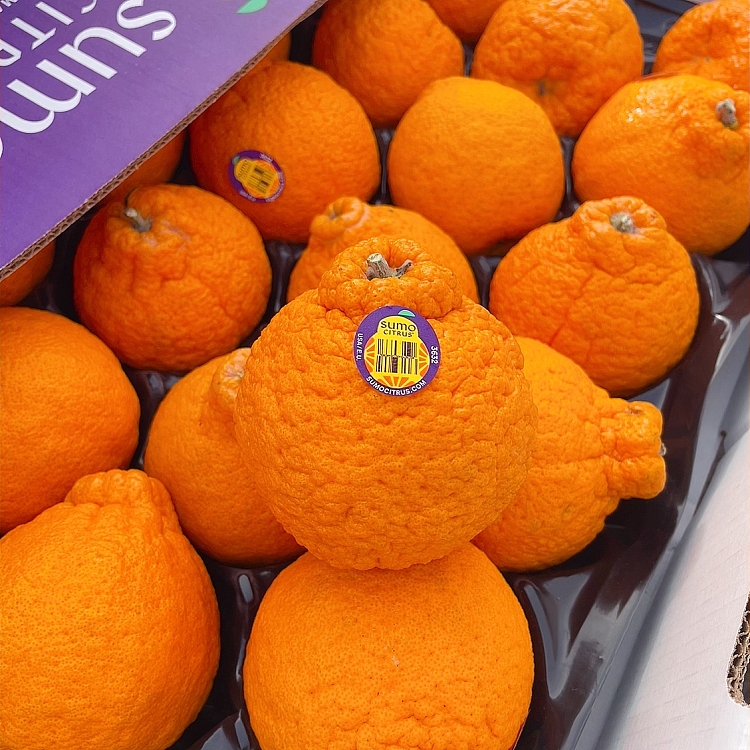 freshsumo-ugly-orange-2pcs-1