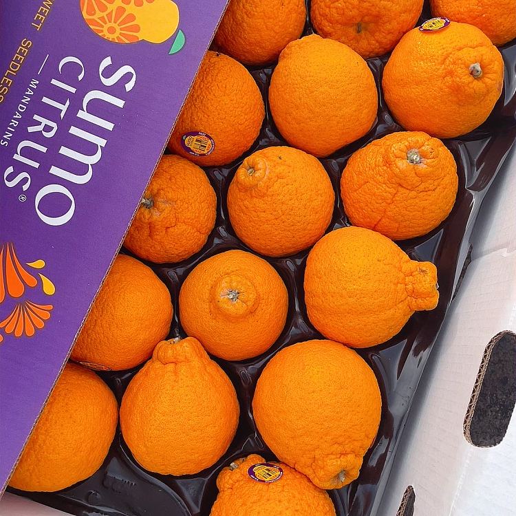 freshsumo-ugly-orange-2pcs-2