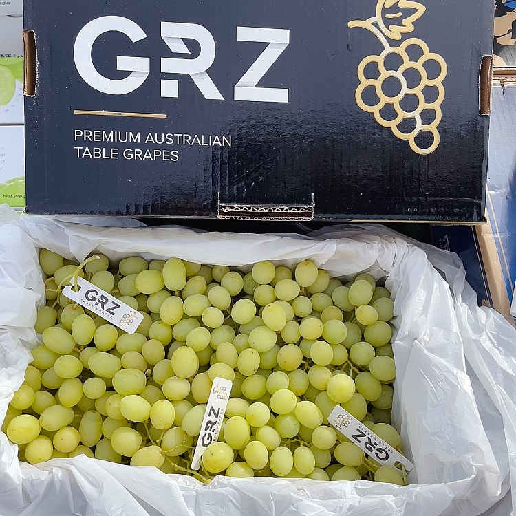 freshsweetglobe-premium-sweetglobe-crisp-sweet-green-grape-pure-sweet-no-acid-approx-1kg-3