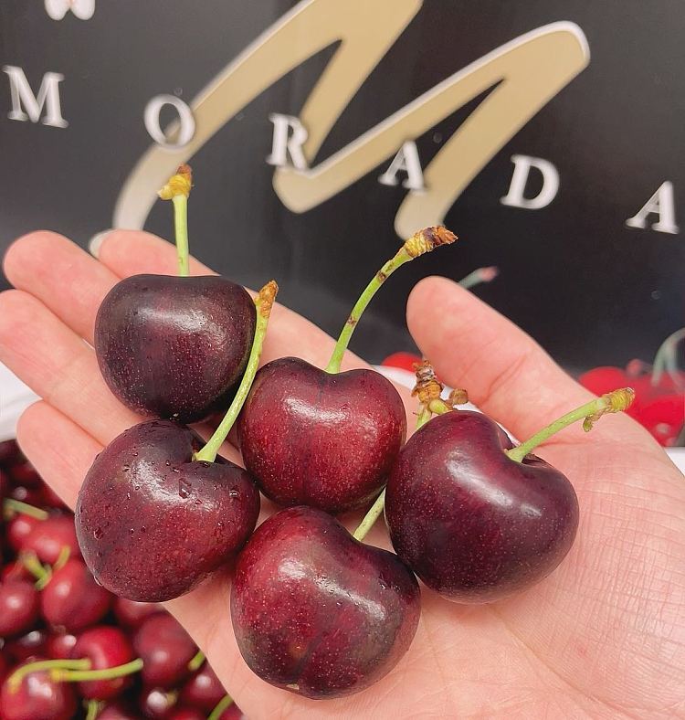 umallmorada95r500g-2