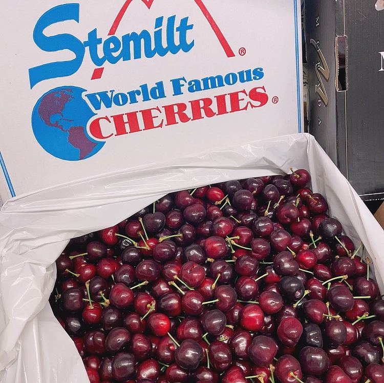 umallstemilt10r500g-1