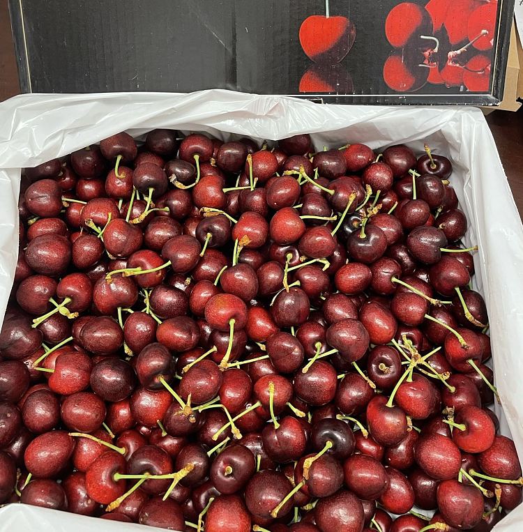umallmorada95r500g-5