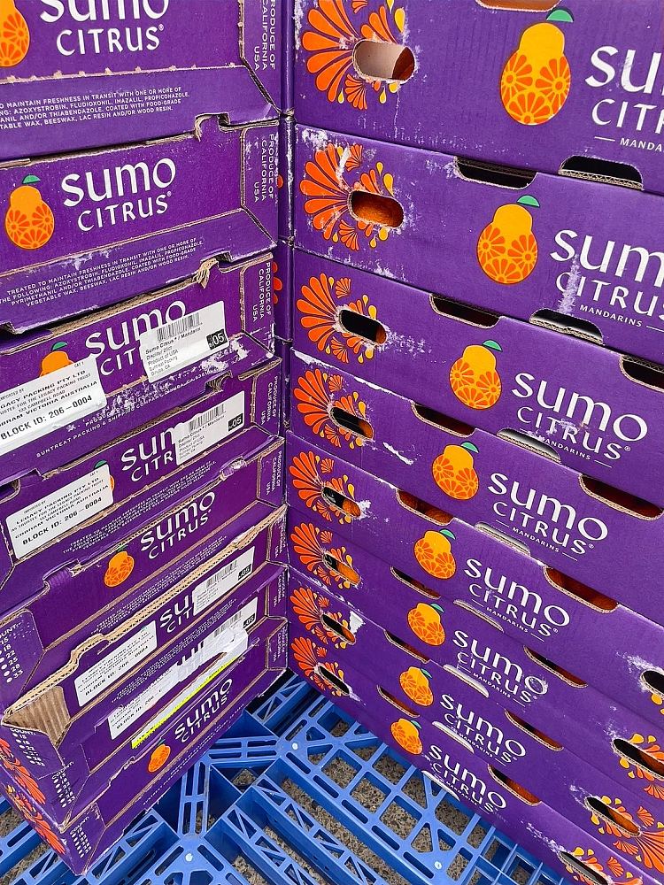 freshusasumo-ugly-tangerine-whole-box-size20-22-2