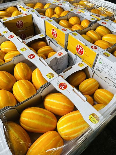 【整箱】韩国香瓜 Size5-6 约2kg