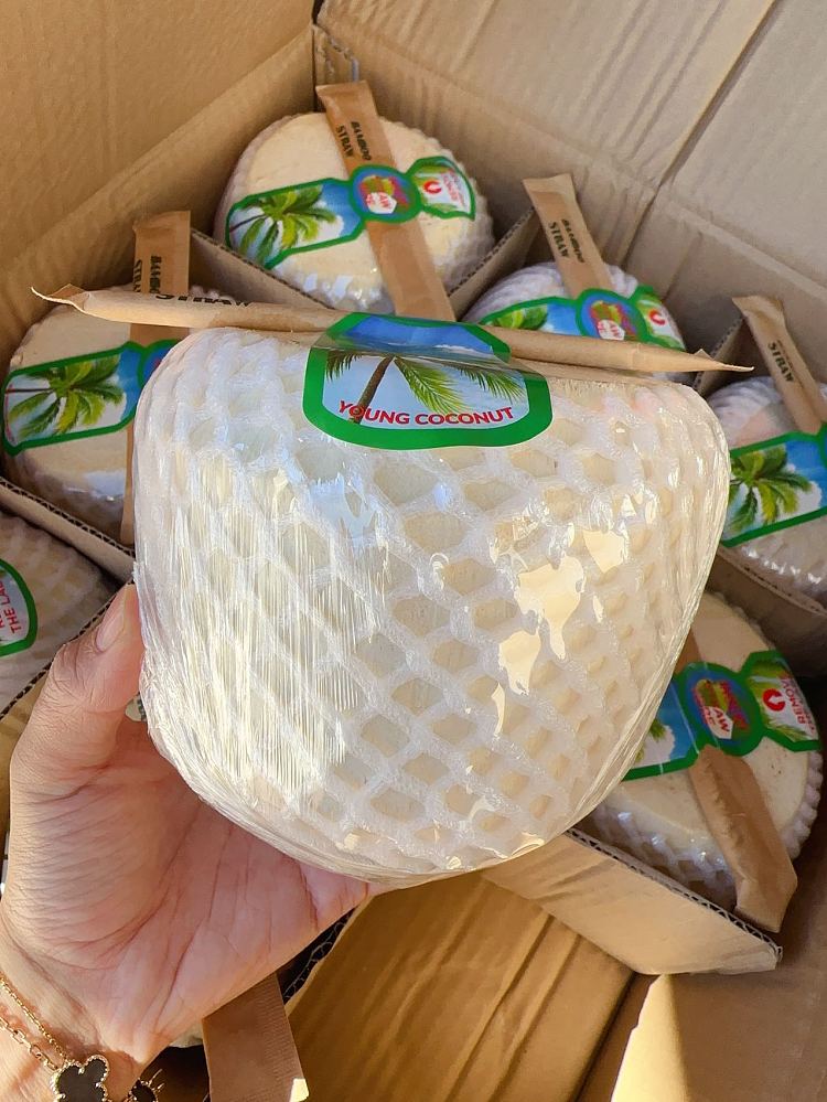 new-white-box-coconut-green-1pc-2