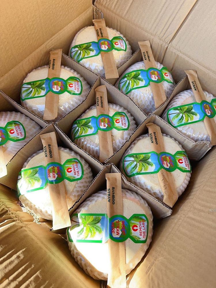 new-white-box-coconut-green-1pc-3