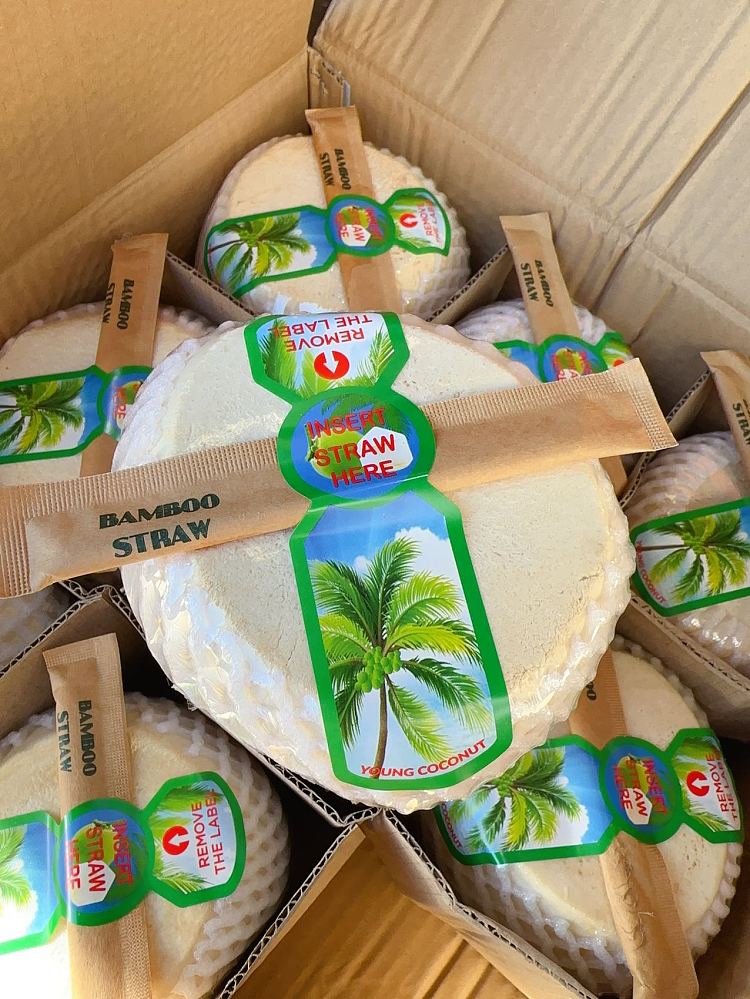 new-white-box-coconut-green-1pc-1