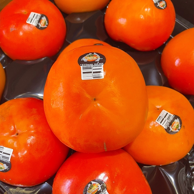 fresh-2-extra-large-hard-persimmons-1