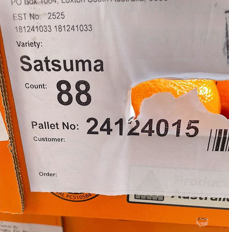 new-super-sweet-small-orange-approx-1kg-2