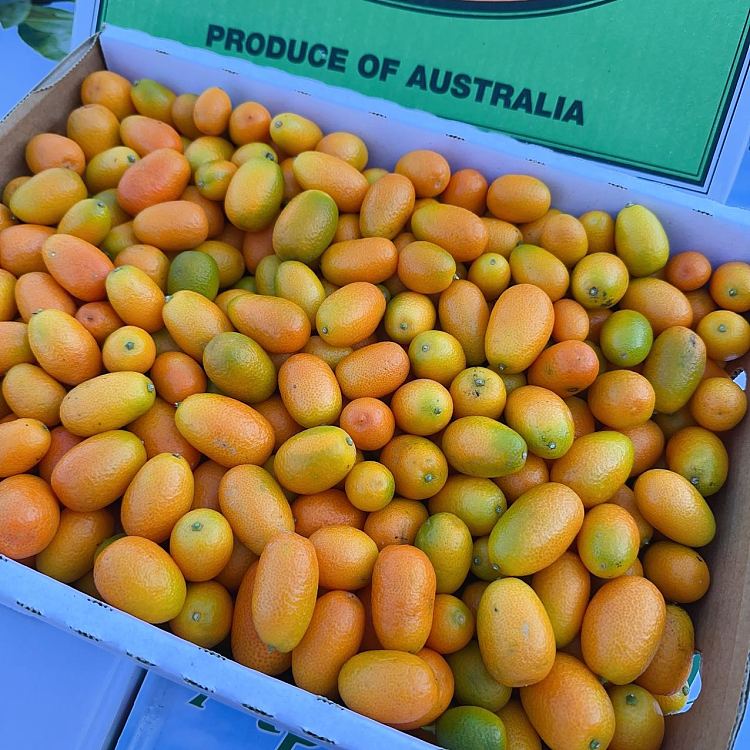 freshumall-own-super-sweet-kumquat-about-500g-3