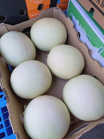 巨无霸特级白兰瓜 1颗 约2.1-2.4kg