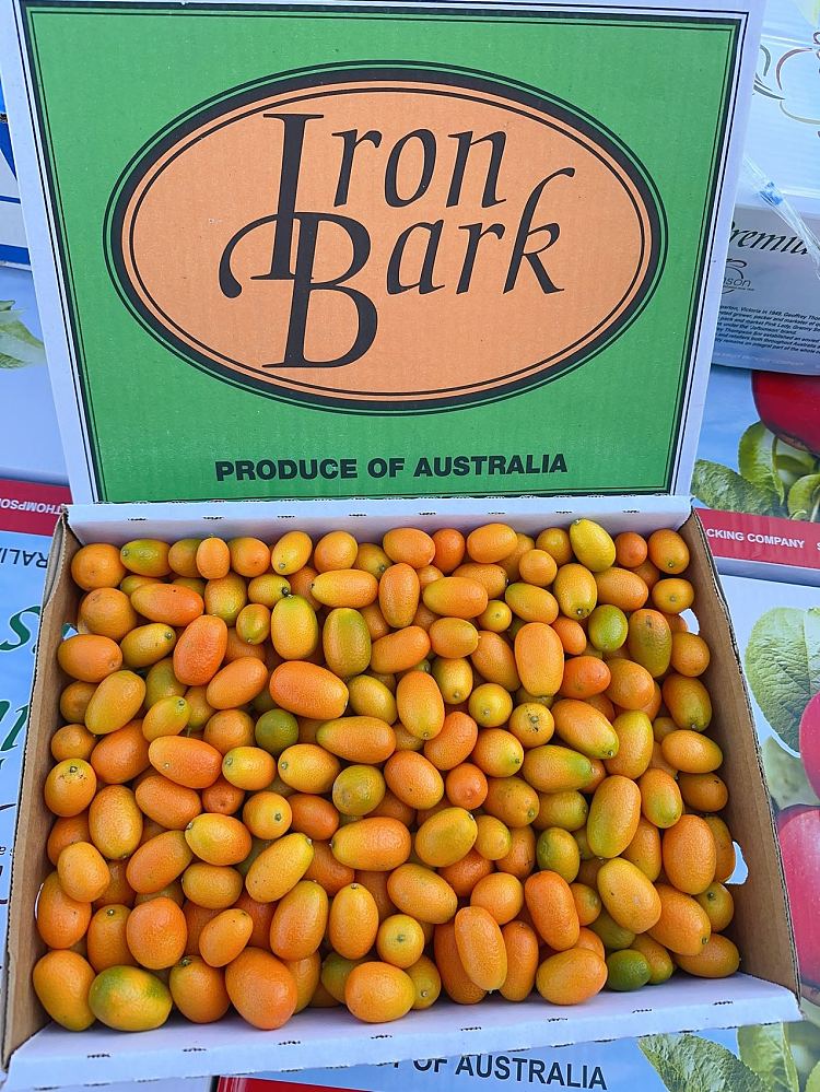 freshumall-own-super-sweet-kumquat-about-500g-2