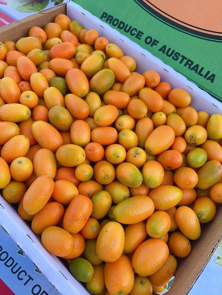 freshumall-own-super-sweet-kumquat-about-500g-1