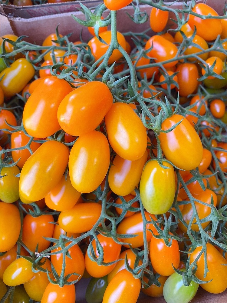 yellow-tomatoes-with-branches-about-500g-2