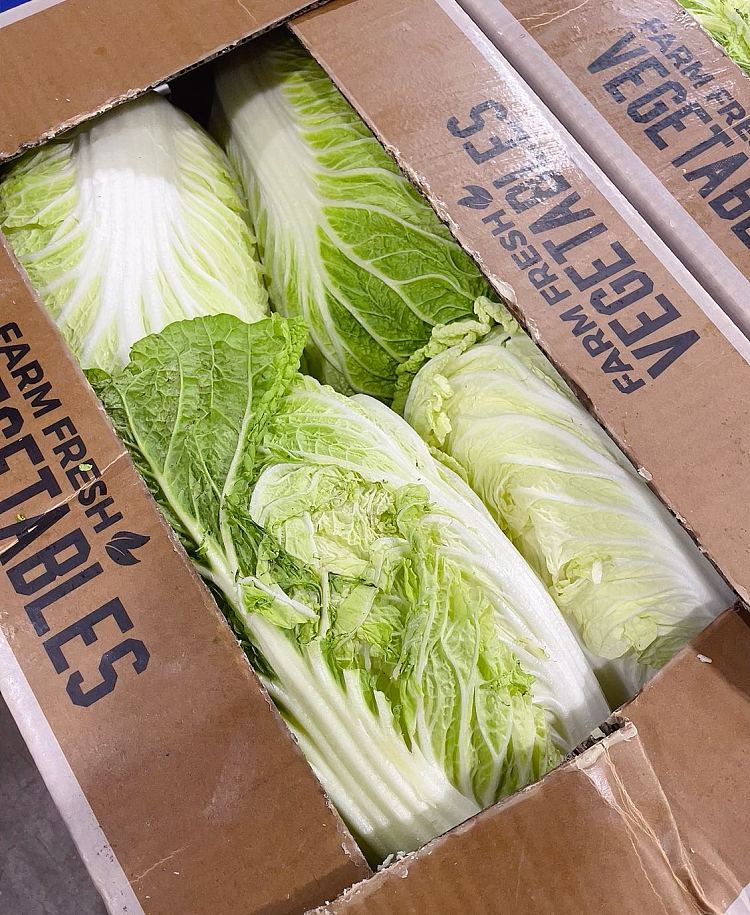 freshumalls-own-special-price-cabbage-1-whole-2