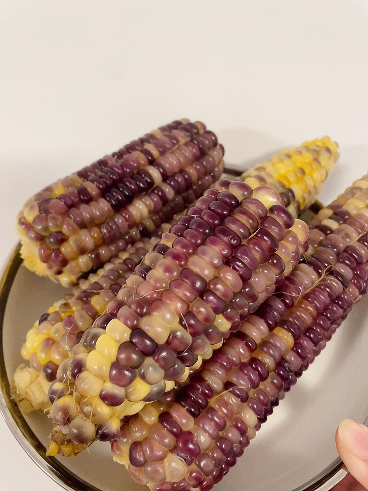 10-sticks-of-freshly-blossomed-sticky-corn-5