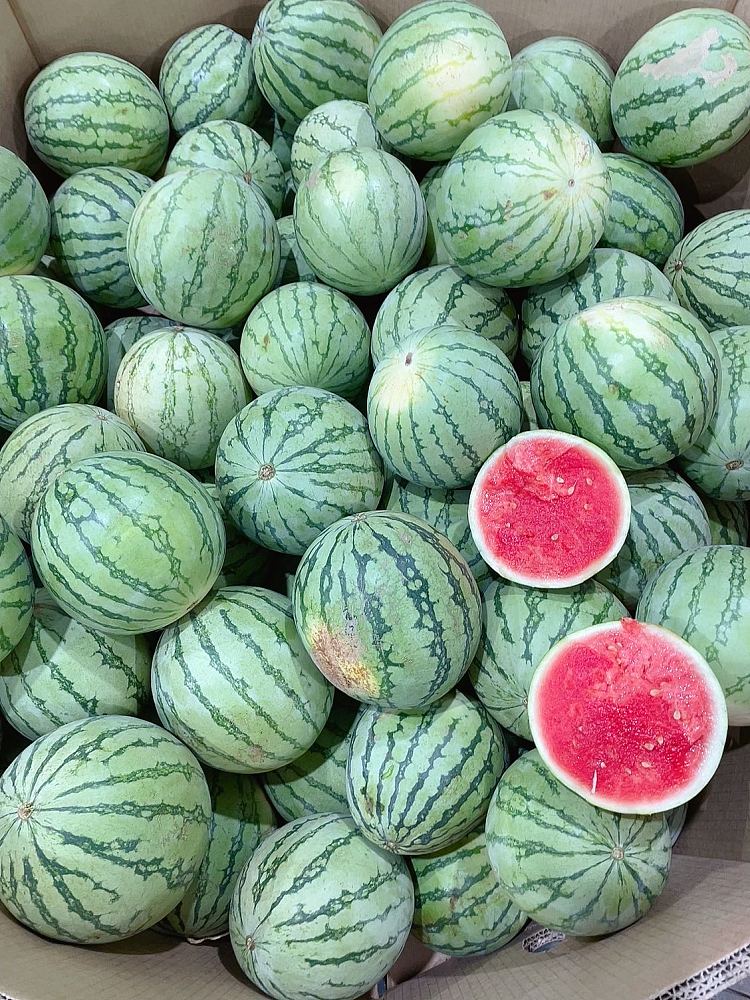 freshumall-own-ice-sugar-small-watermelon-2-3kg-1