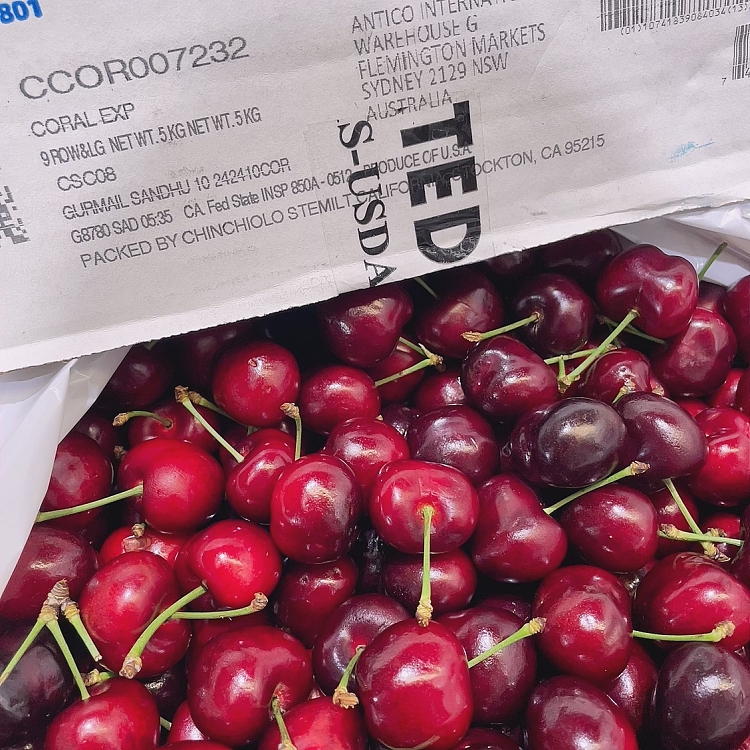 usa-imported-stemilt-beetle-red-cherry-9r-about-500g-3