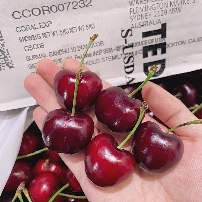 美国进口Stemilt甲壳虫红樱桃9r 约500g