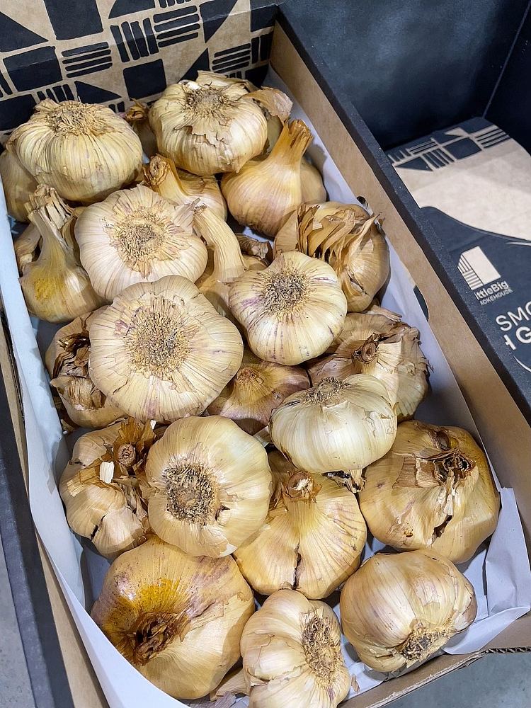 golden-smoked-garlic-about-250-300g-2