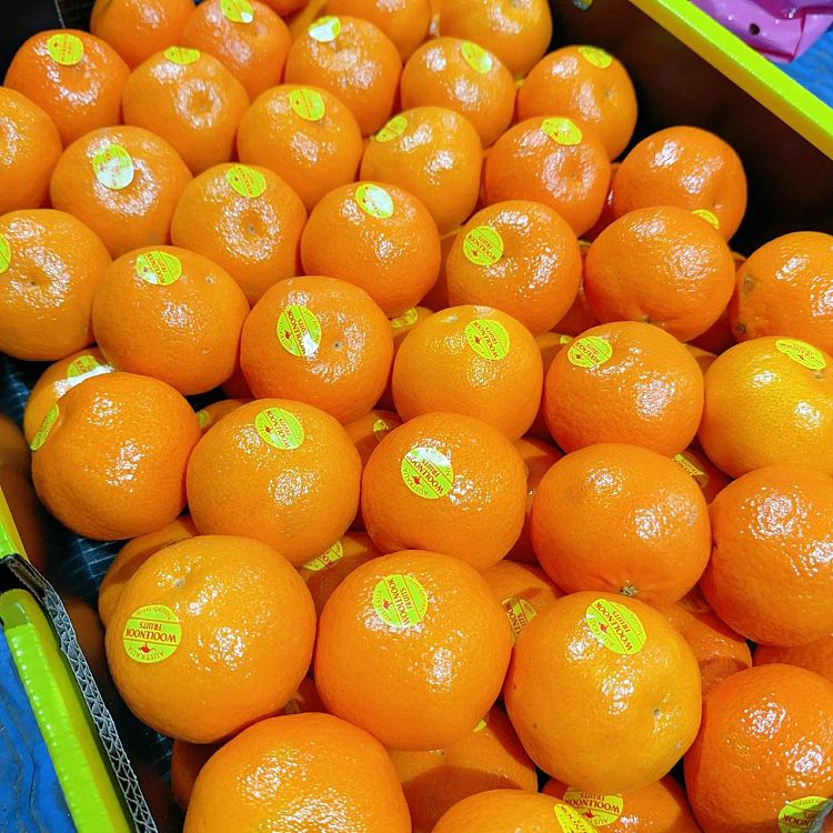 freshumall-self-supporting-seedless-oranges-about-900-1000g-3