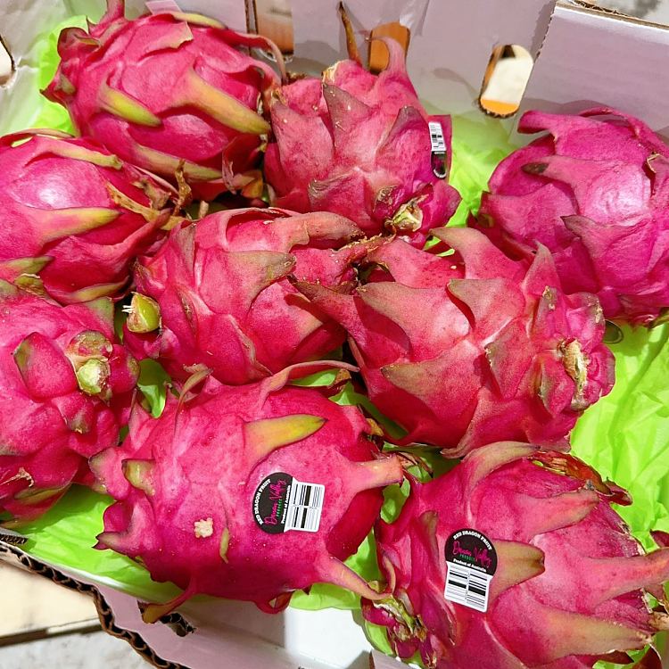 freshumall-self-supporting-red-dragon-fruit-1pc-2