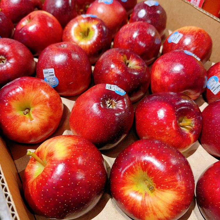 bravo-apple-approx-1kg-3