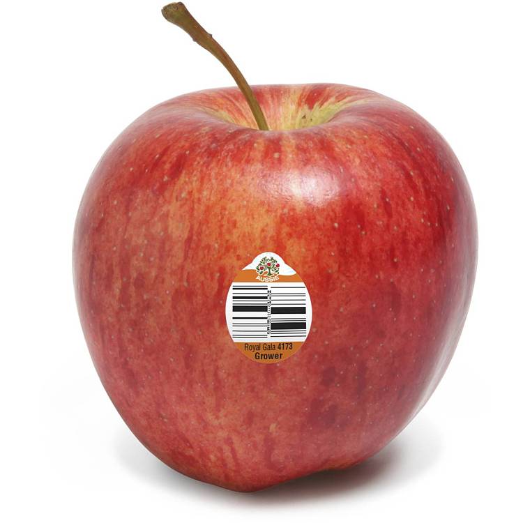 freshumall-self-supporting-royal-gala-apples-about-1kg-2