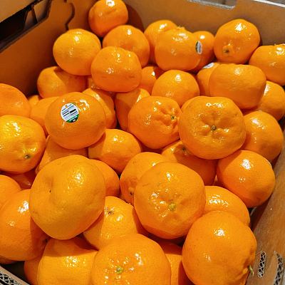 澳洲Imperial甜橘 Imperial Mandarin 约1kg