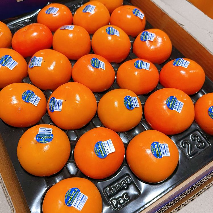 freshblue-label-extra-large-hard-persimmons-2-1