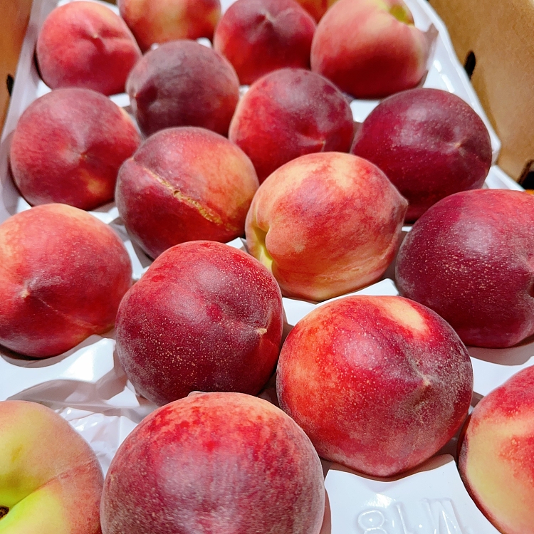 2-american-peaches-2