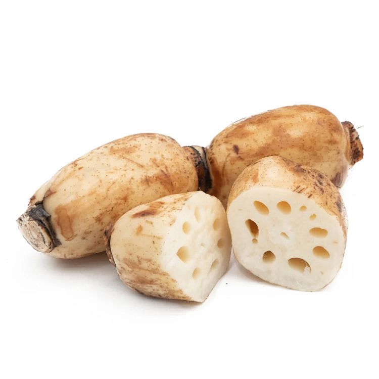 freshumall-own-fresh-lotus-root-about-600-900g-2