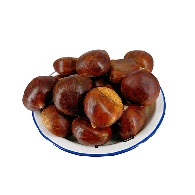 澳洲板栗 Chestnut SizeL3 约500g