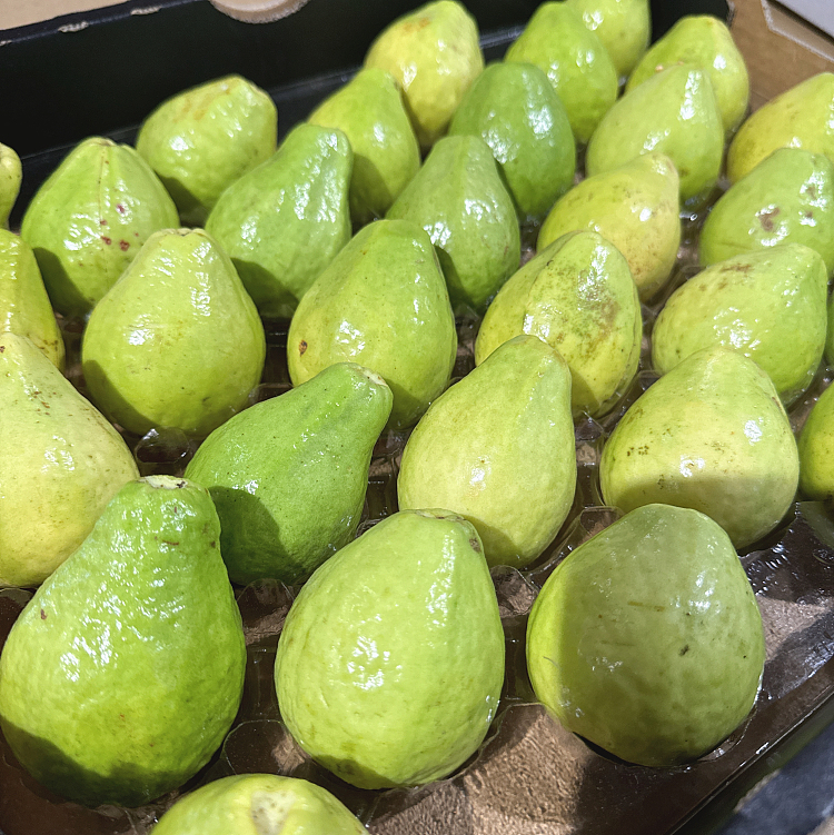 creamy-white-guava-cream-guava-size32-1